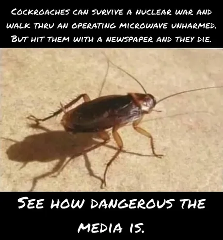 Who could've thought totally unnecessary strong ultraviolet radiation is extremely bad for skin?