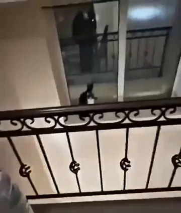 Girl saves cat from dangerous place