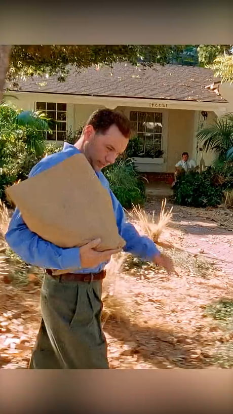 Louis of the neighborhood