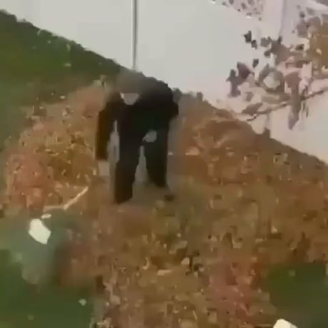 Yes