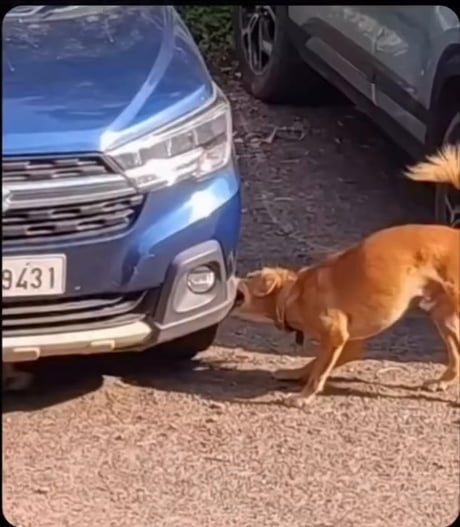 Well done dogg. Well done