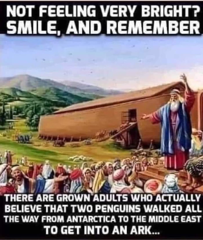 There are multiple species of penguins so clearly they planned to travel together