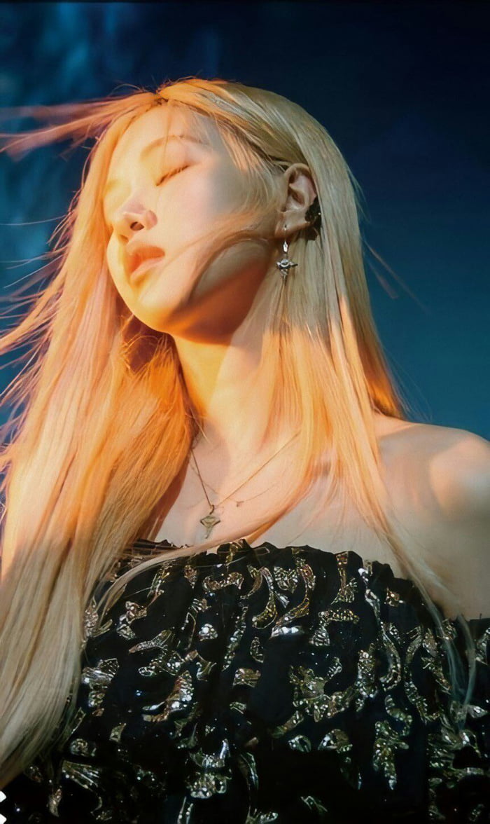 Photo : Rose