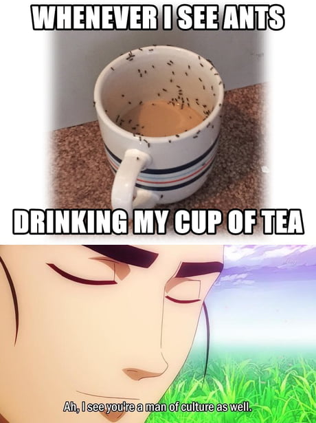 Them Fellow Gentlemen 9gag