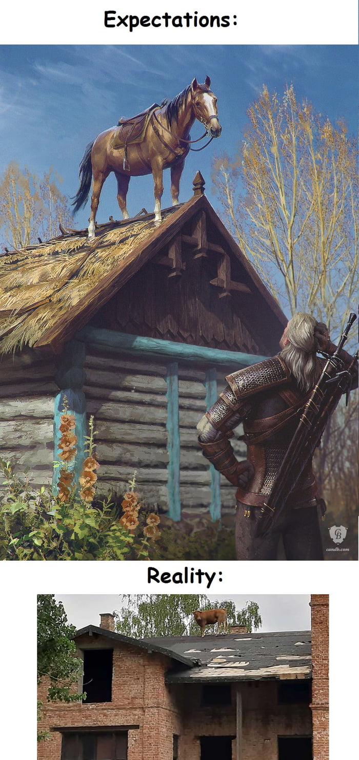 So a cow decided that Roach is her hero and went onto a roof in Poland