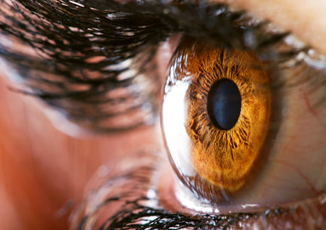 how many megapixels in eye