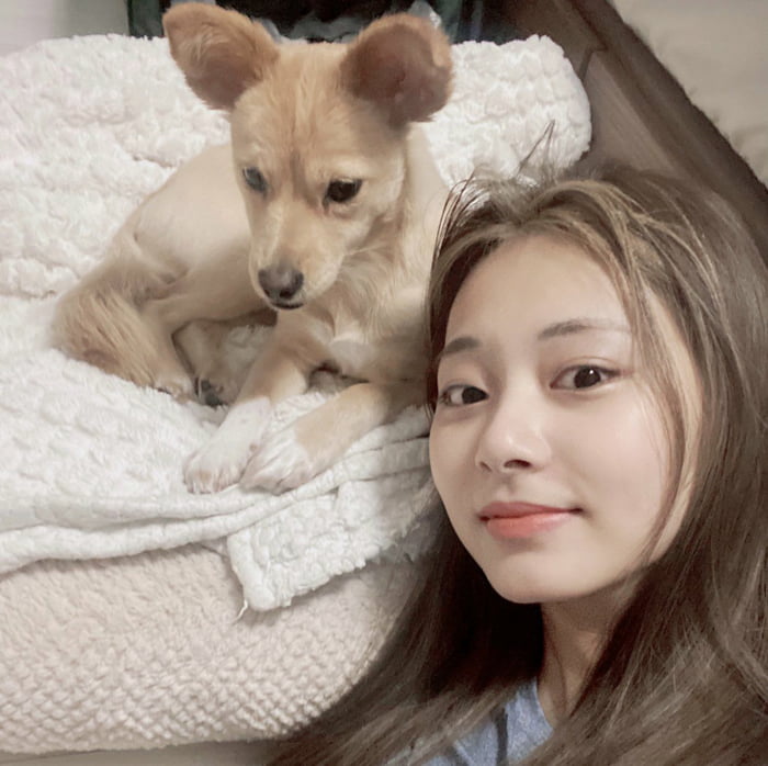 Photo : Tzuyu and Butter