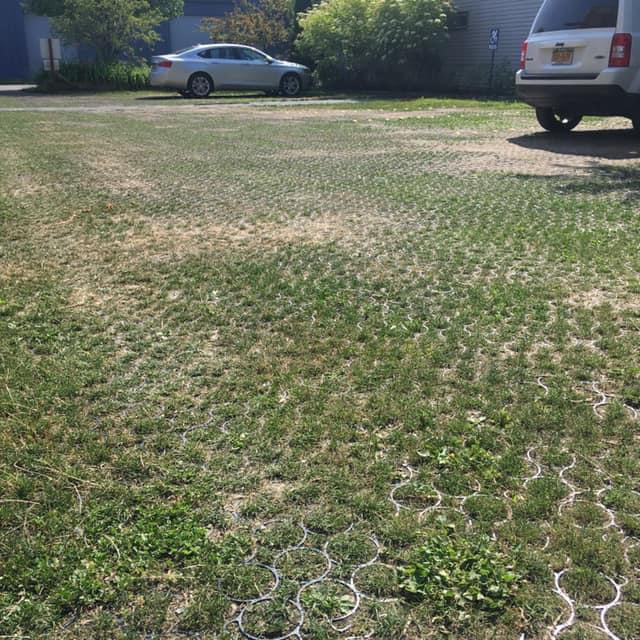 Grass parking lots absorbs more rainfall keeping water out of storm drains. It reduces heat. Provides habitat for insects. Helps offset carbon dioxide. Filters the water. It looks better and is cheaper than concrete while being stronger than asphalt.