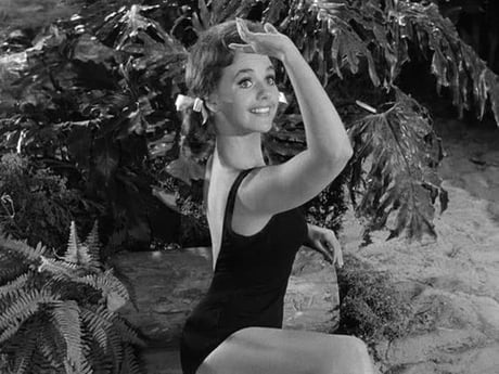 Dawn Wells aka Mary Ann Summers from Gilligan s Island. 1960s. 9GAG