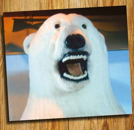 Ugly shop polar bear