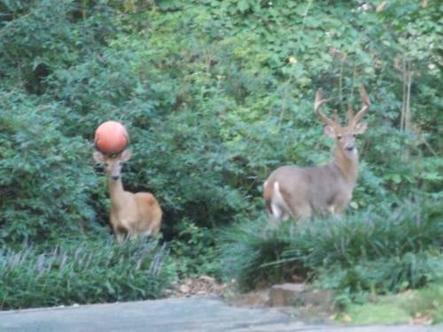 Another 3-pointer!