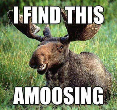 Share me some puns