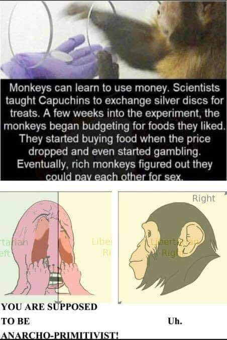 Best Funny funny monkey Memes - 9GAG