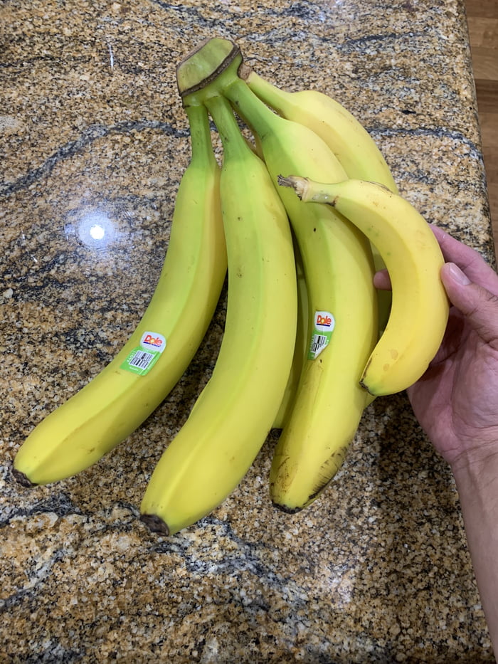 Some giant bananas. Banana for scale. 9GAG