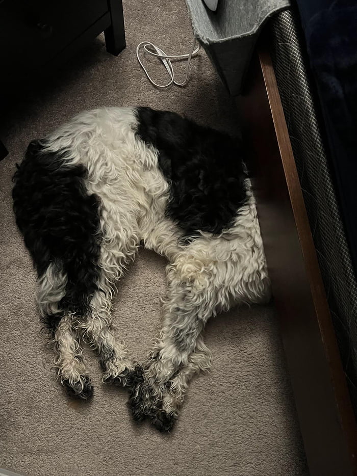 She fell asleep with her head under the bed - 9GAG - What She Fell On Was The Tip Of My Dick