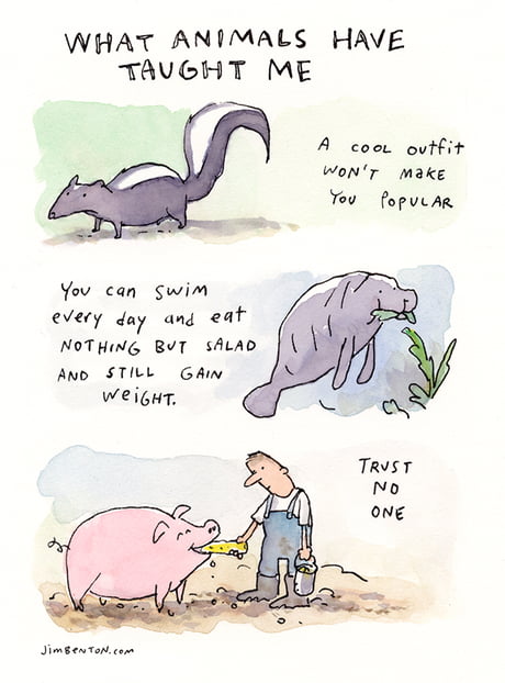We all can learn from animals. - 9GAG