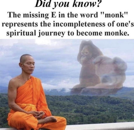 Best Funny Monk Memes 9GAG   AwZeA5B 460s 