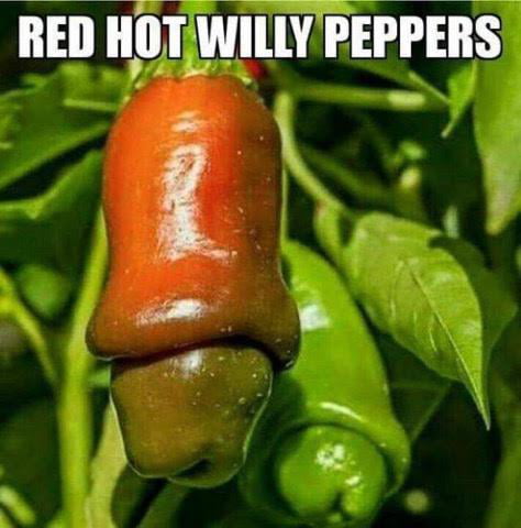 Is this spicy content? - 9GAG