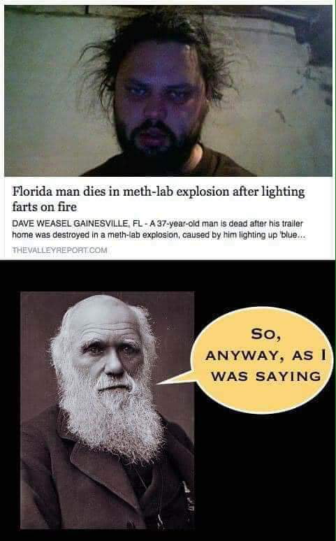 Floridaman strikes again - 9GAG