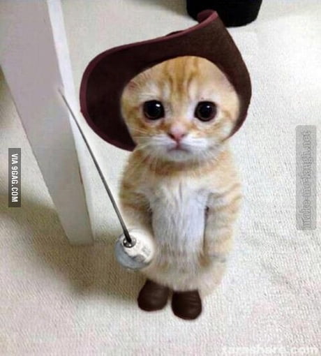 If this doesn\'t cheer you up what will? - 9GAG