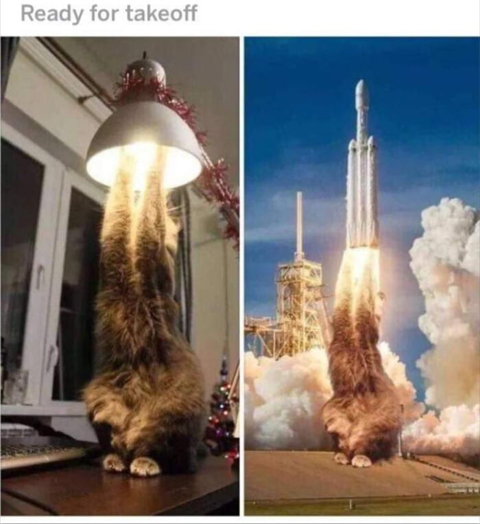 Does this count