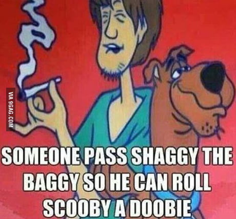 pass shaggy the baggy