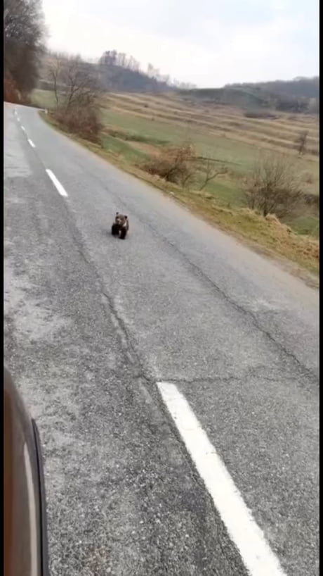 Couldn't leave the little guy behind