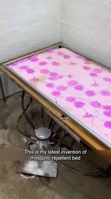 The design is very human