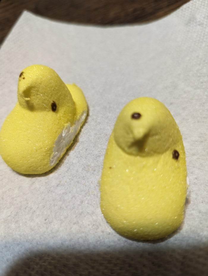 Good Job Peeps 9GAG good-job-peeps-9gag