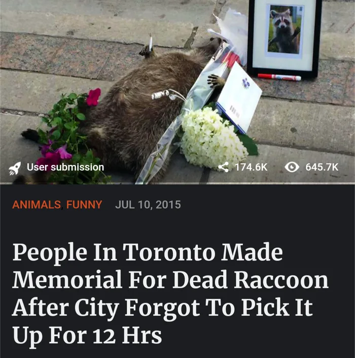 awyVAqR_700bwp.webp
