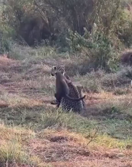 Motherhood Experience