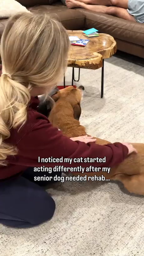 Fren has compassion, fren gonna ease the pain.