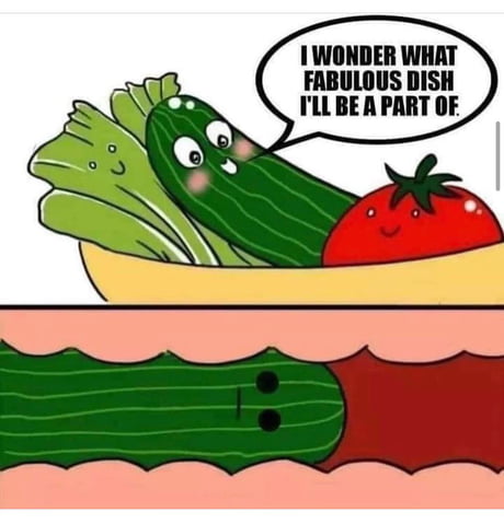 bedt sex toy Sex toys Memes and Images main image 1