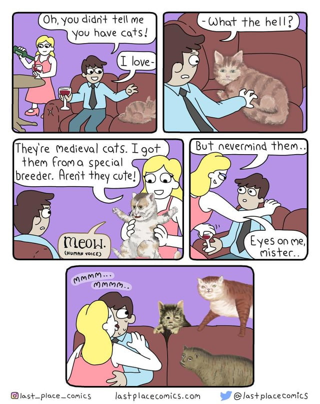 Soothing cats