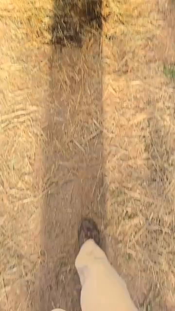 Spawned like a final boss