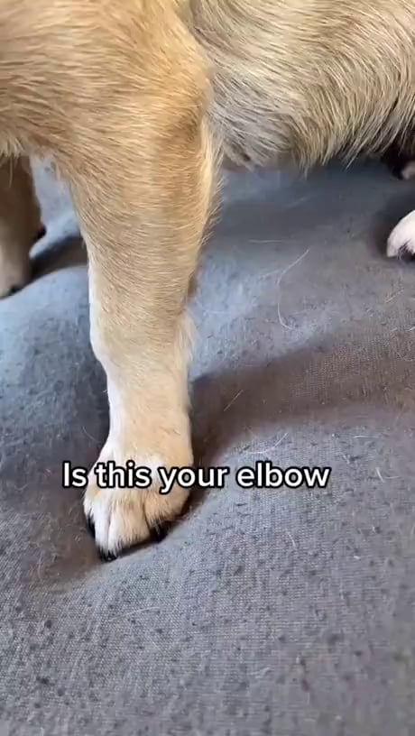 One of the favourites 2