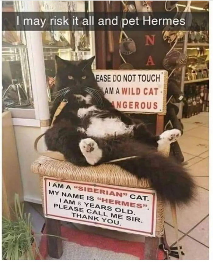 It s Worth The Risk 9GAG