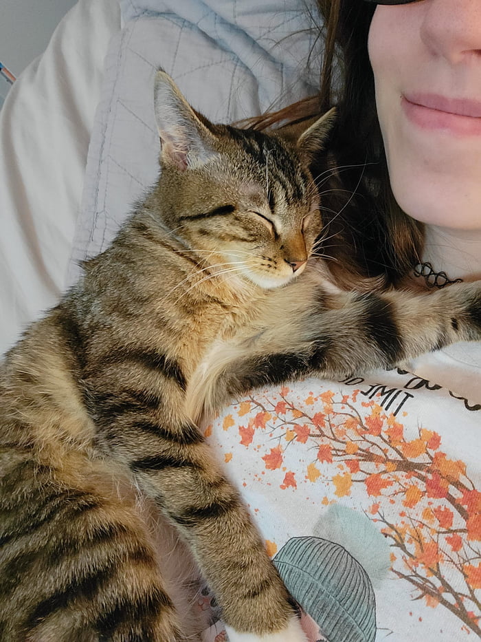 The Baby Fell Asleep On Me Her Name Is Suki 9GAG