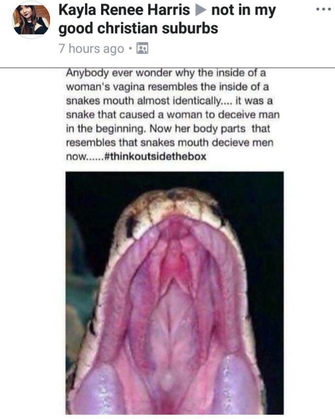 Snek go read the post man