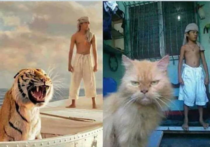 Hollywood vs Bollywood
