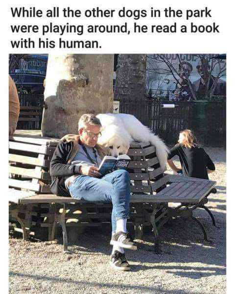 S T U D I O U S B O Y E