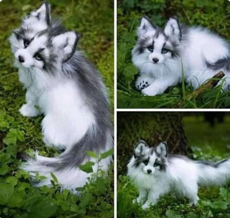 canadian marble fox plush