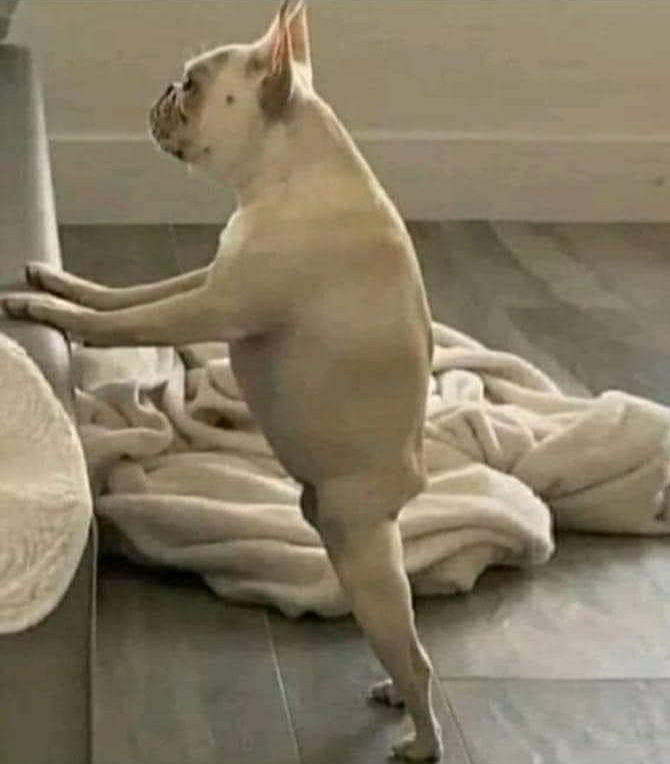 Men over 30 in skinny jeans
