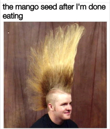 Barber What Type Of Haircut Do You Want 9gag
