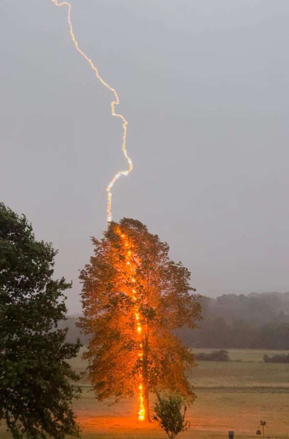 Debbie Parker Captured The Exact Moment A Lightning Hit A Tree In Moorefield Hardy County West 