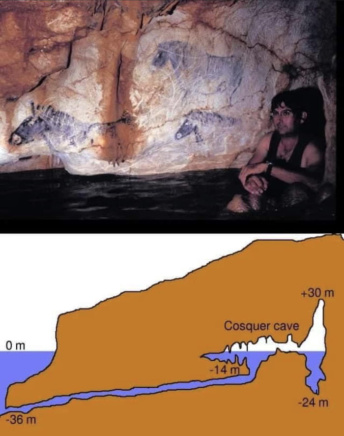 The Cosquer cave is a decorated Paleolithic cave, located in France
