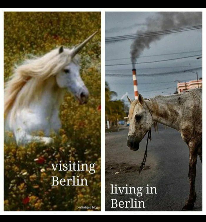 Its funny because its true 9gag