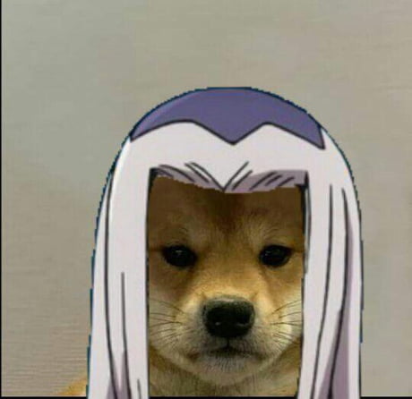 Dog With Hat Meme Anime