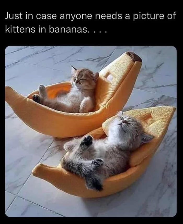 sleepy-bananas-9gag