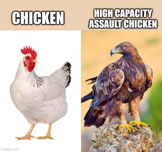 High capacity assault chickens are illegal to view in the state of